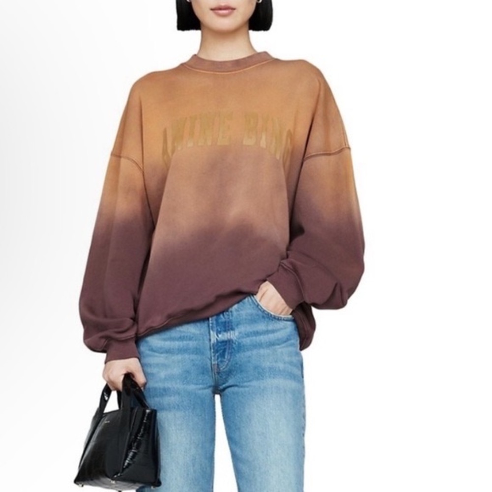 Anine Bing Brown Ombre Sweatshirt